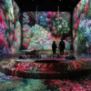 $39: Immersive Art & Technology Experience