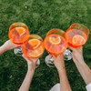 $29 Backyard Bash: Baseball Tix, Drinks, Eats