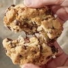 Free Levain Cookies All Over NYC