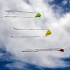 Brooklyn Bridge Park Kite Festival