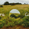 Pura x Calm: An Immersive Experience