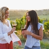North Fork & Hudson Valley Wine Tasting Tours